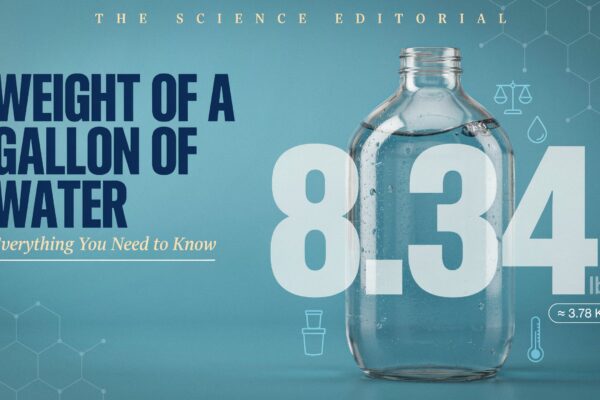Weight of a Gallon of Water? Everything You Need to Know